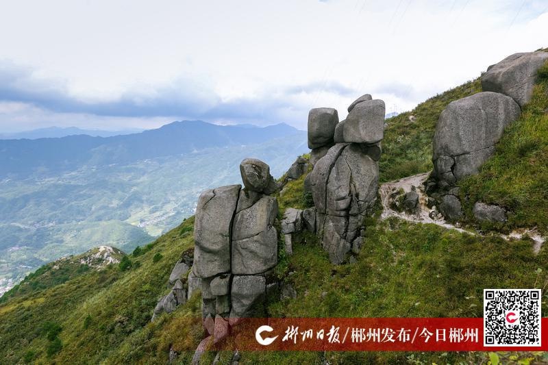 8月27日,桂阳县扶苍山出现壮美云海,云雾弥漫在山峰和沟谷间,宛如人间